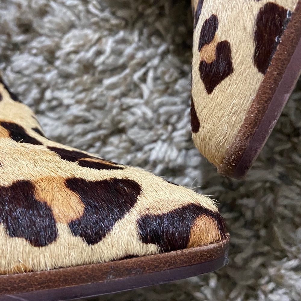 Steve Madden Ladd Cow Hair Cheetah Print Booties - Picture 12 of 16